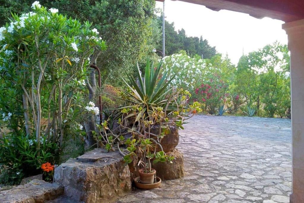 Villa Xocolater *